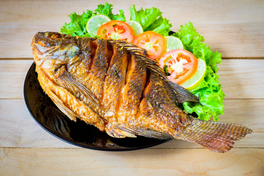 Fish